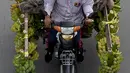 Seorang pedagang mengendarai sepeda motor bermuatan pisang di sepanjang jalan di Phnom Penh (13/10/2021). Phnom Penh adalah kota terbesar di Kamboja. (AFP/Tang Chhin Sothy)