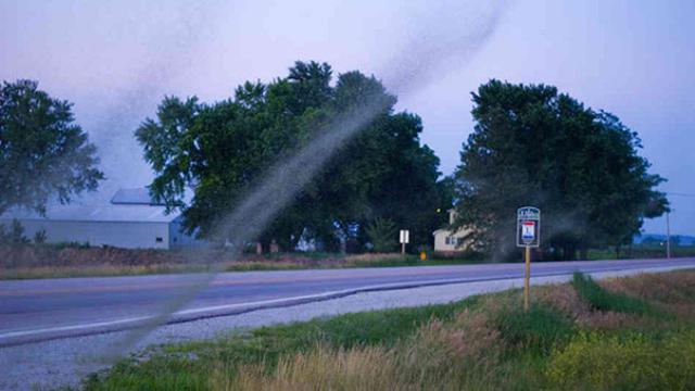 7 Serangan Serangga Paling Menakutkan