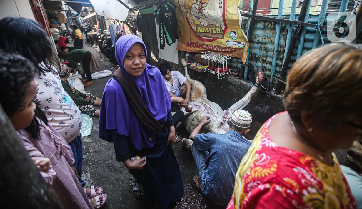Warga menyaksikan pemotongan hewan kurban di kawasan Kramat Pulo Gang 18 RT 1 RW 8, Jakarta, Minggu (10/7/2022). Panitia Majelis Taklim Al Iman memotong tiga sapi untuk kemudian dibagikan kepada fakir miskin sebagai bentuk rasa syukur atas rizki dari Allah pada perayaan Hari Raya Idul Adha 1443 H. (Liputan6.com/Faizal Fanani)