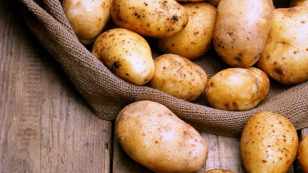 Kentang Siap Olah. (foto: Pinterest/PS).