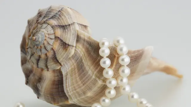 mutiara