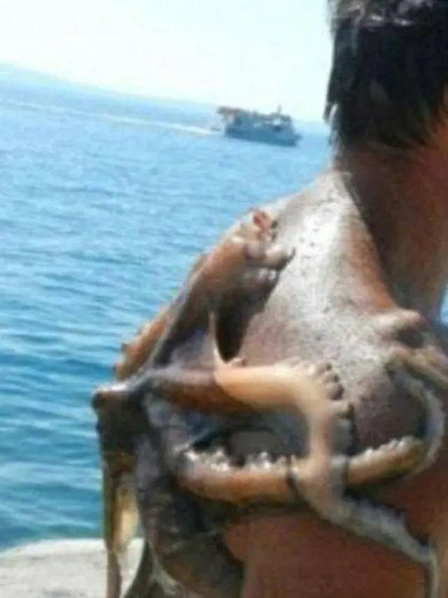 7 Momen Apes Waktu Liburan Ini Malah Bikin Gagal Bahagia