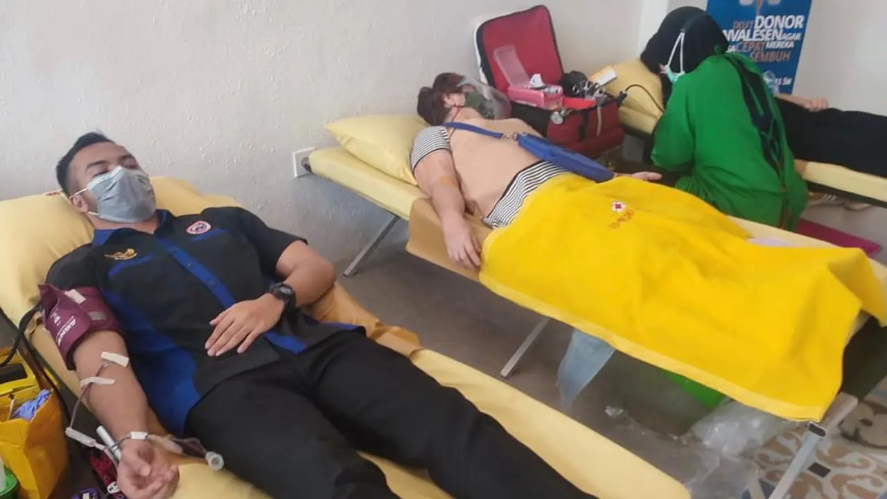 Donor darah