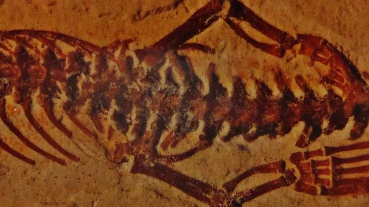 Penemuan Fosil Reptil Berkaki Empat Berusia 110 Juta Tahun Ungkap Bagaimana Ular Berevolusi