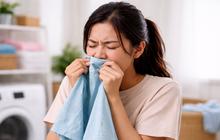 7 Cara Menghilangkan Bau Apek pada Baju Tanpa Dicuci Ulang, Praktis dan Cepat