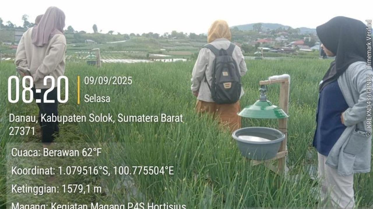Dari Lembah Tengkorak Menuju Pertanian Ramah Lingkungan: Petani Bawang Solok Berani Berubah!