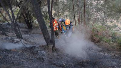 Karhutla Gunung Bromo Meluas Hingga 550 Hektare