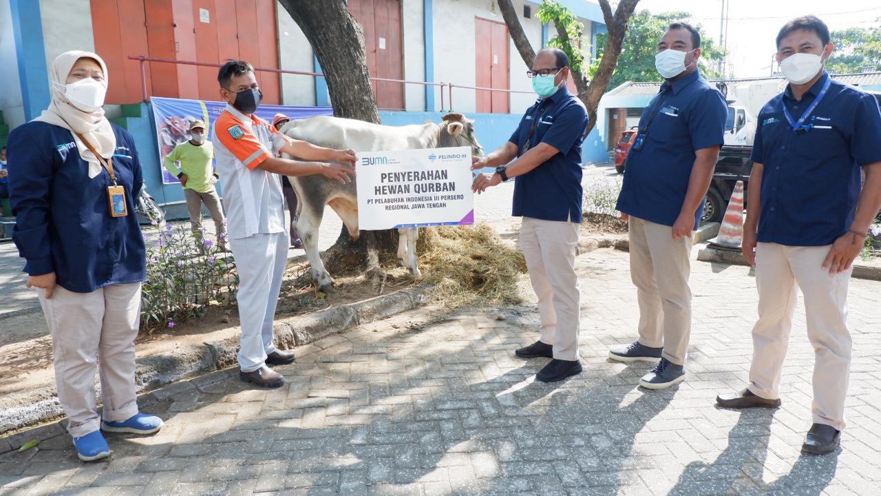 Pelindo III Salurkan langsung 127 Sapi dan 145 Kambing Kurban Kepada Tempat Ibadah