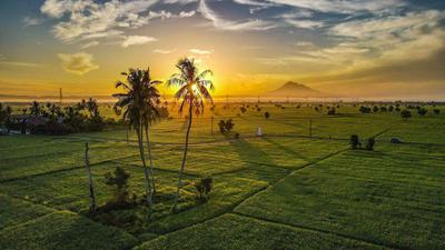 Mentari Pagi Menyinari Sawah Produktif Aceh Besar