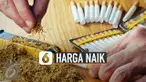 Direktorat Jenderal Bea dan Cukai (DJBC) Kemenkeu naikkan cukai rokok. Cukai rokok dipastikan naik 23% dan harga eceran akhirnya naik 35%.