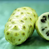 Mengkudu. (Via: sites.google.com)