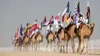 Parade unta dengan bendera saat Kontes Kecantikan Unta di Qatar Camel Mzayen Club, Ash-Shahaniyah, Qatar, 2 Desember 2022. Bersamaan dengan pesta sepak bola Piala Dunia 2022, Qatar juga menggelar Kontes Kecantikan Unta. (AP Photo/Alessandra Tarantino)
