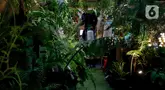 Warga mengunjungi acara Festival Urban Farming 2025 di Gedung Nyi Ageng Serang, Setiabudi,, Jakarta, Sabtu (12/7/2025). (Liputan6.com/Herman Zakharia)
