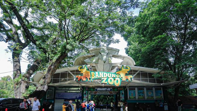 Membedah Tiga Opsi Pengelolaan Kebun Binatang Bandung