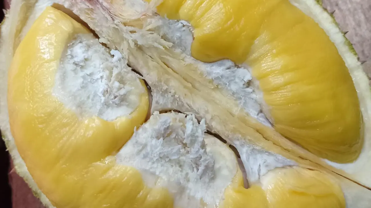 Durian