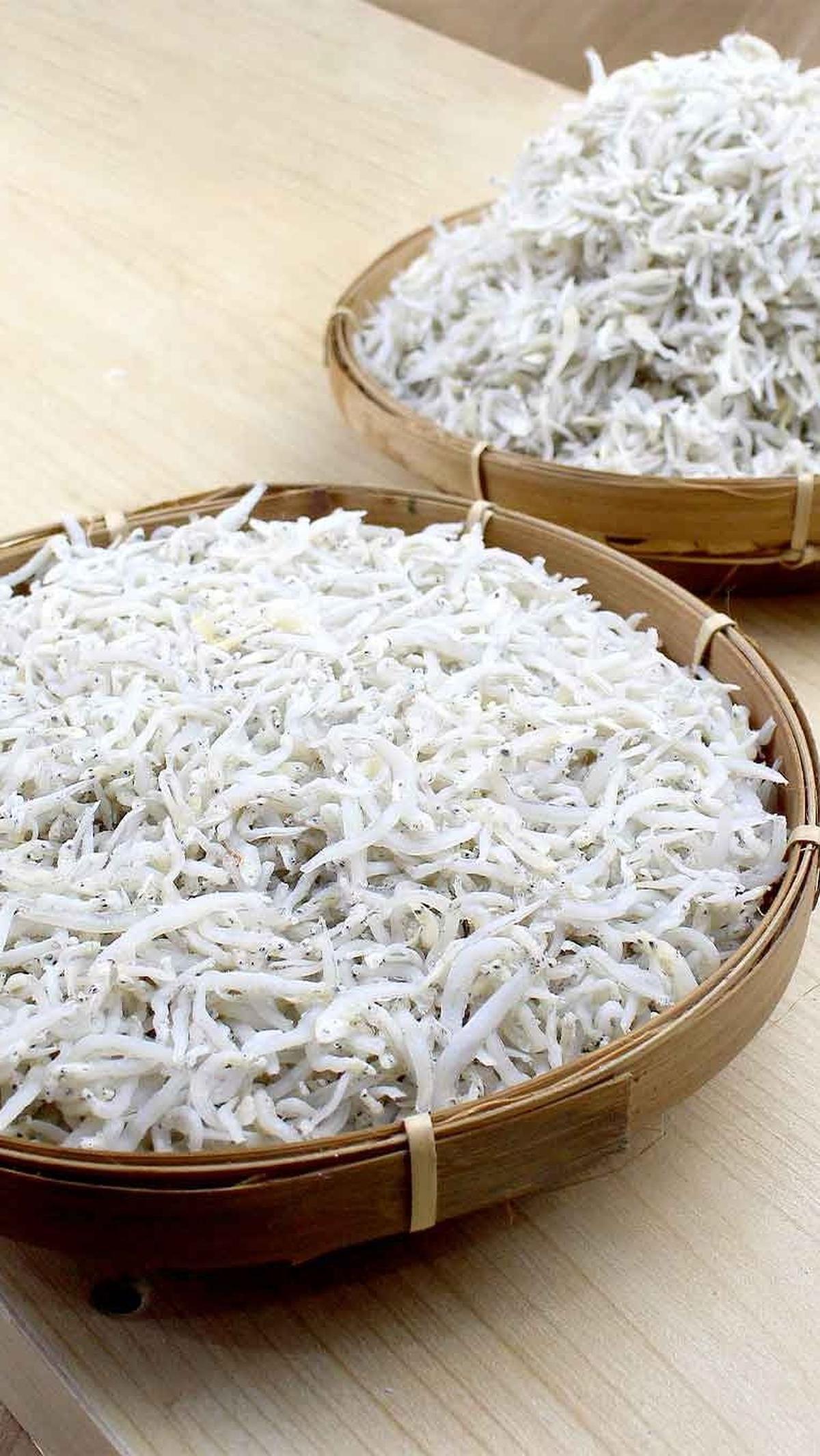 3. Ikan Teri