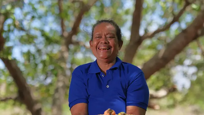 Petani Mete di Sumba/dok. Talasi