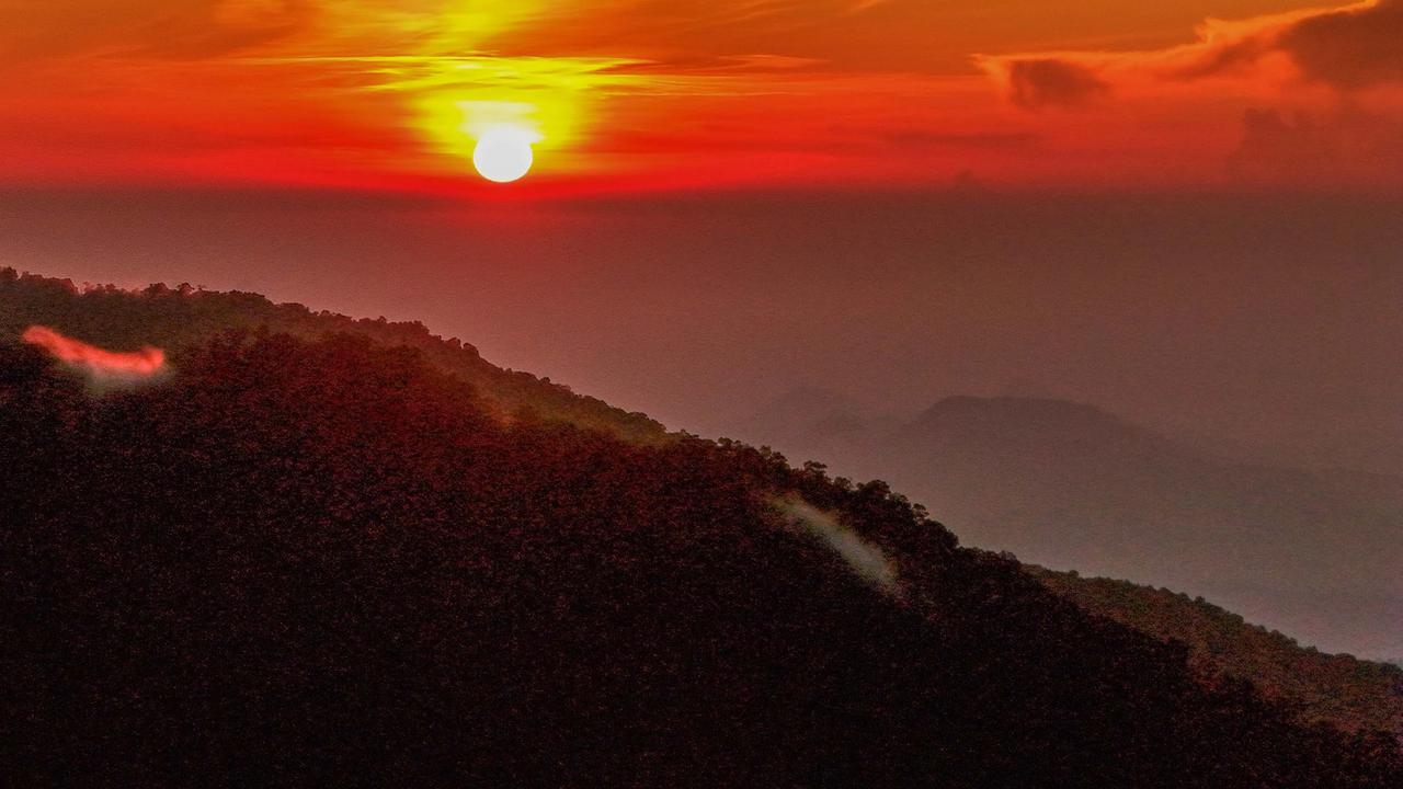 FOTO: Pesona Alam Puncak Masih Menjadi Tujuan Favorit Warga Saat Libur Panjang