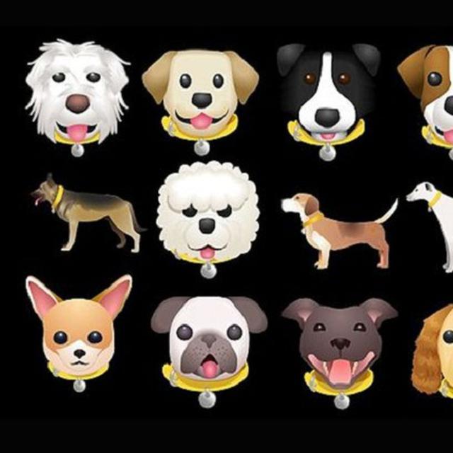 Lucunya Emoji Emoji Bergambar Anjing Tekno Liputan6 Com