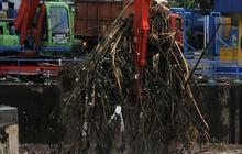 Kehidupan di Bantaran Ciliwung