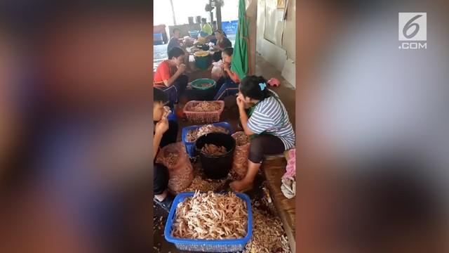 Seperti inilah cara pengolahan ceker ayam di Thailand yang membuat geger publik. 
