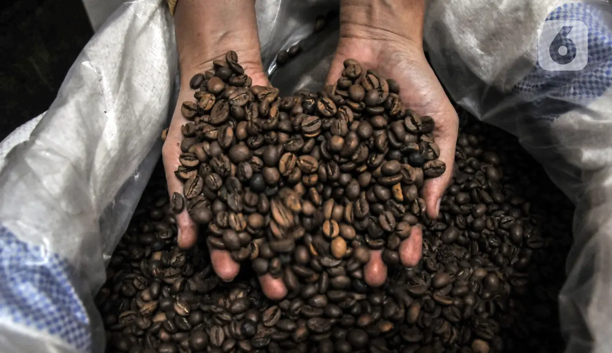 Pekerja menunjukkan biji kopi yang akan digiling di toko kopi Sari Murni, Jatinegara, Jakarta Timur, Selasa (4/1/2021). Sari Murni masih konsisten menyediakan aneka jenis kopi Nusantara meski berada di tengah ekspansi kafe modern dan pandemi COVID-19. (merdeka.com/Iqbal S. Nugroho)