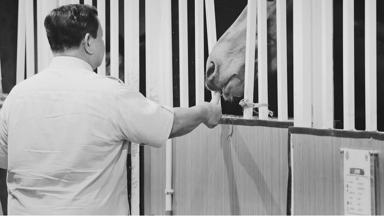 Kejutan Prabowo Masuk Kandang Kuda di Resimen Kavaleri