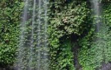 Berpetualang Menuju Air Terjun Grenjengan Kembar, Surga Tersembunyi di Lereng Gunung Merbabu