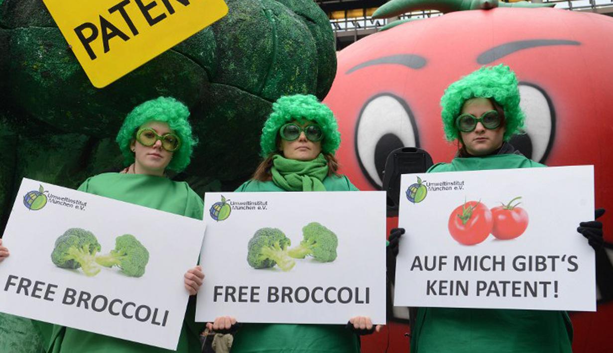 Brokoli kaya akan kandungan antioksidan. Selain itu brokoli juga tinggi kandungan enzim yang membantu memperlancar sistem pencernaan. Brokoli mentah lebih disarankan untuk dikonsumsi karena tinggi tingkat nutrisi di dalamnya. (AFP PHOTO / CHRISTOF STACHE)