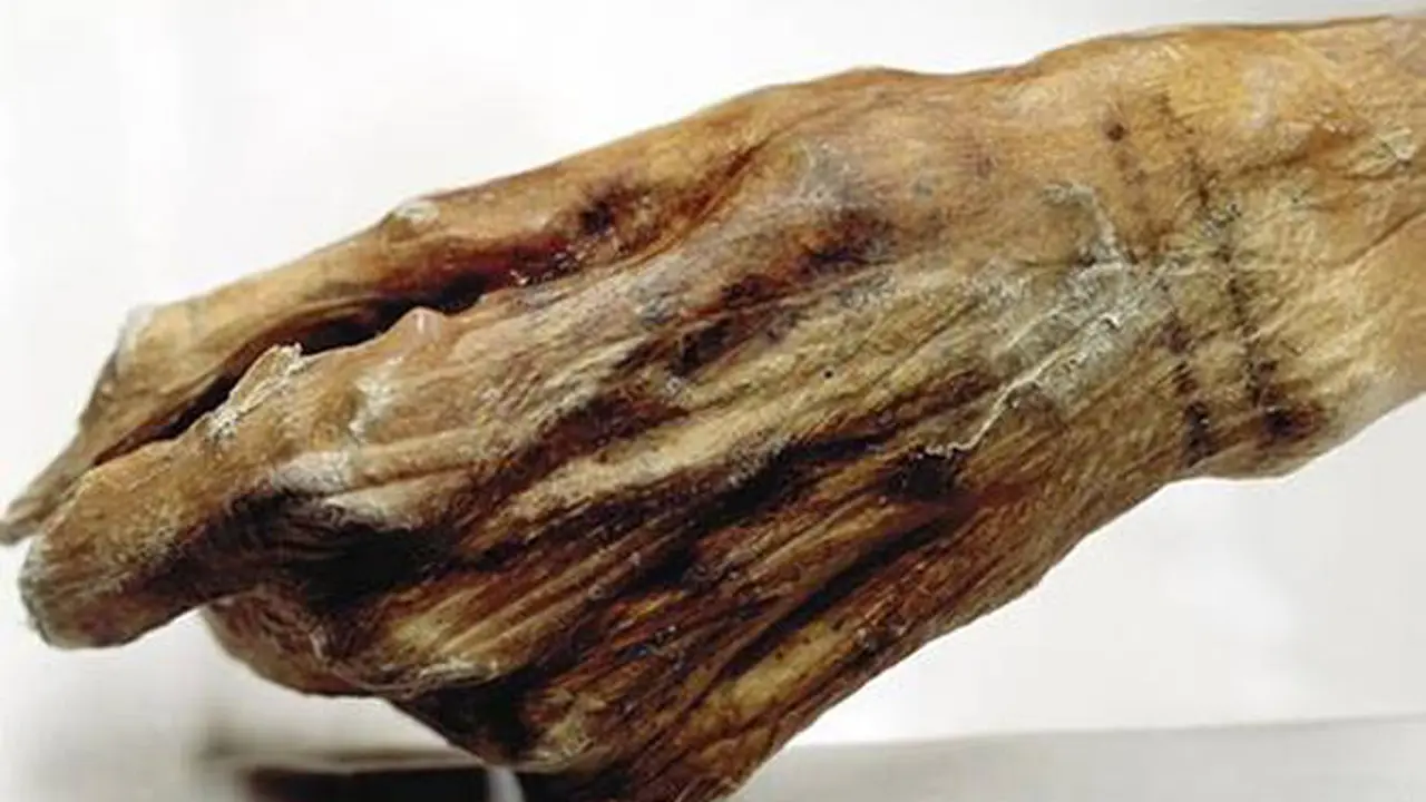 Inilah Tato Tertua di Dunia
