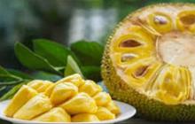 5 Khasiat Nangka yang Jarang Diketahui, Bagus untuk Cegah Penyakit Jantung