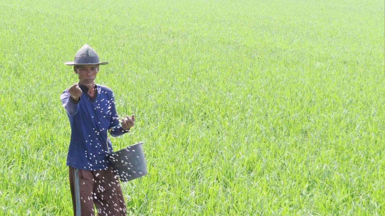 Petani di sawah. Dok Kementan