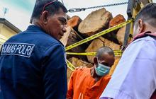 FOTO: Polisi Tangkap Pelaku Pembalakan Liar di Aceh, Sita Truk Bermuatan Kayu Ilegal