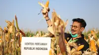 Menteri Pertanian Syahrul Yasin Limpo melakukan kunjungan kerja di Kabupaten Kendal, Jawa Tengah, Sabtu (27/06/2020).