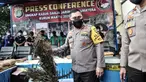 Kapolda Metro Jaya Irjen Fadil Imran menunjukkan salah satu pohon ganja saat rilis pengungkapan ladang ganja di Mapolres Metro Jakarta Barat, Selasa (9/3/2021). Sat Resnarkoba Polres Metro Jakarta Barat berhasil menemukan ladang ganja seluas 12 hektare di Sumatera Utara (merdeka.com/Iqbal S Nugroho)
