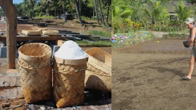 Desa Wisata Les di Buleleng Bali Dinobatkan Sebagai Desa Terbaik ADWI 2024, Ada Apa Saja di Sana?