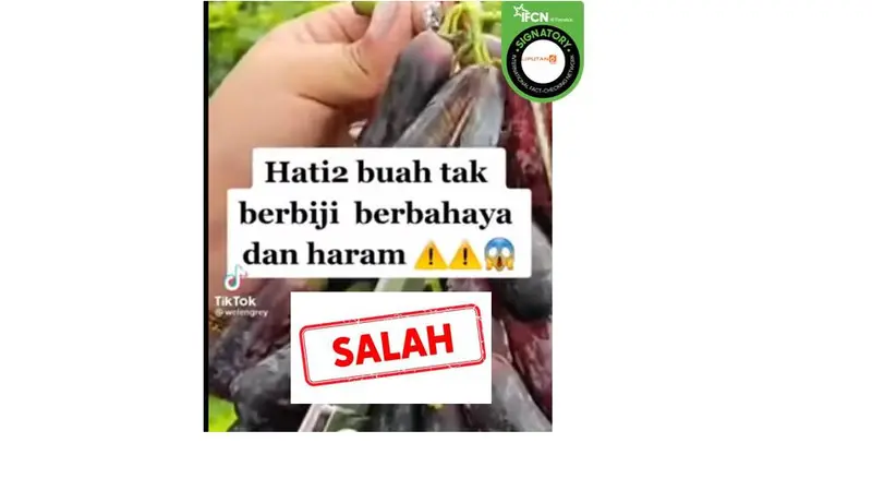 Cek Fakta buah hasil rekayasa genetika berbahaya dan haram.