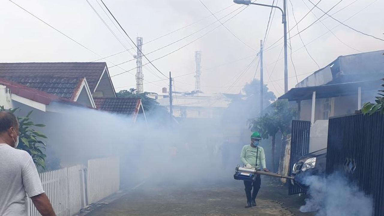 Waspada! Palembang Ingatkan Warga Antisipasi DBD Saat Musim Hujan 2025, Kasus Sudah Capai 500!