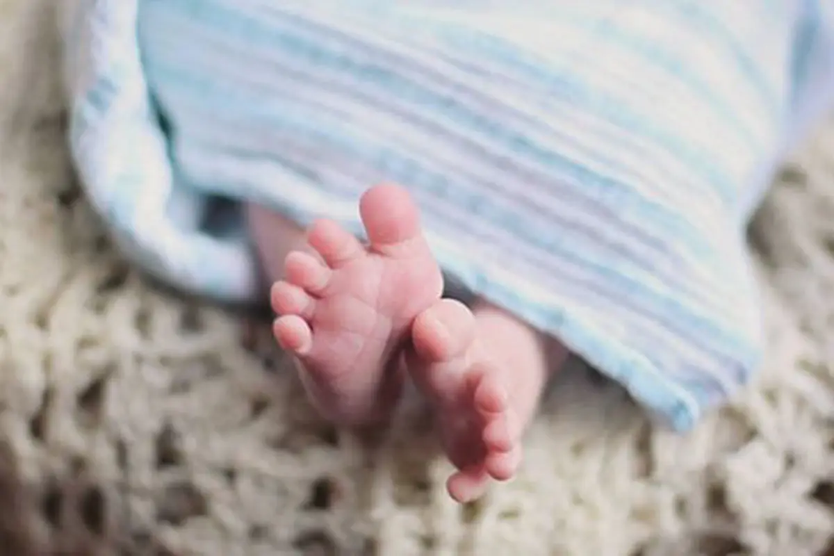 Kaki bayi/copyright Pexels.com/Leah Kelley
