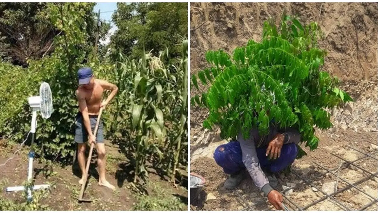 Kocak, 6 Aksi Tukang Agar Tak Kepanasan Ini Kreatif Banget