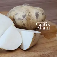 Bengkuang memiliki manfaat baik untuk wajah. (Adrian Putra/Bintang.com)