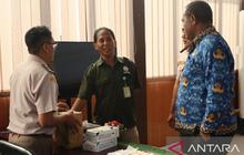 BKHIT Maluku Gagalkan Penyelundupan Satwa Liar di Bandara Pattimura, Amankan 900 Ekor