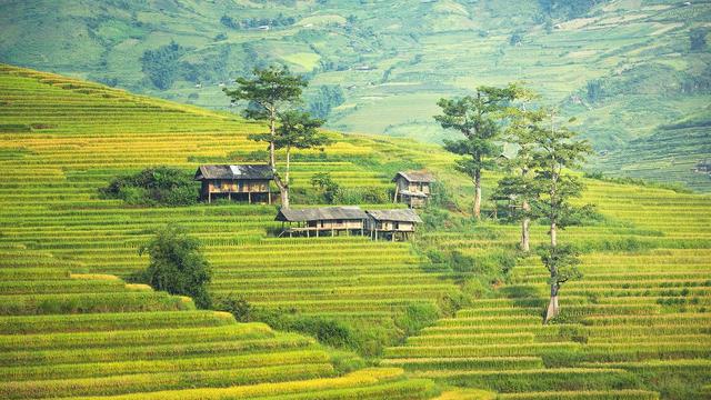 Pertanian di pedesaan Bali. (Bola.com/Pixabay)