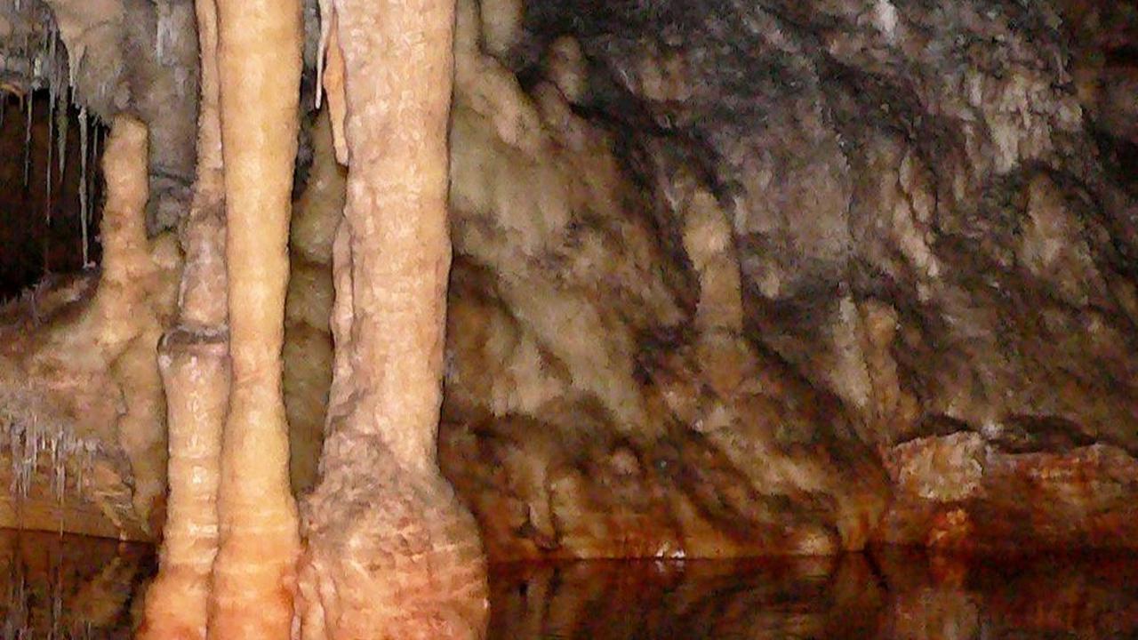 Penelitian ini dipublikasikan di jurnal Quaternary Science Reviews.
