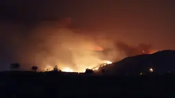 Api menerangi langit malam setelah kebakaran hutan mencapai Pembangkit Listrik Kemerkoy di Milas, di barat daya Turki, Rabu (4/8/2021) malam. Api kini mengancam kota Antalya, Bodrum dan Marmaris. (AP Photo/Cem Tekkesoglu)