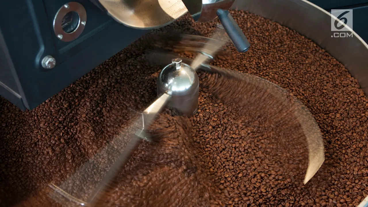 Biji Kopi
