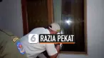 TV Pekat