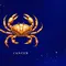 28 Juni Zodiak Apa? 10 Sifat Unik Cancer dan Kecocokan Asmaranya