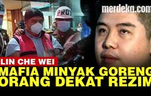 VIDEO: Rekam Jejak Lin Che Wei Mafia Migor, Relawan Jokowi hingga Pernah Bantu Ahok