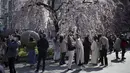 Orang-orang yang memakai masker melihat bunga sakura musiman di Taman Ueno, Tokyo, Jepang pada 24 Maret 2022. Taman Ueno merupakan salah satu tempat menikmati mekar Bunga Sakura paling populer di Tokyo. (AP Photo/Eugene Hoshiko)